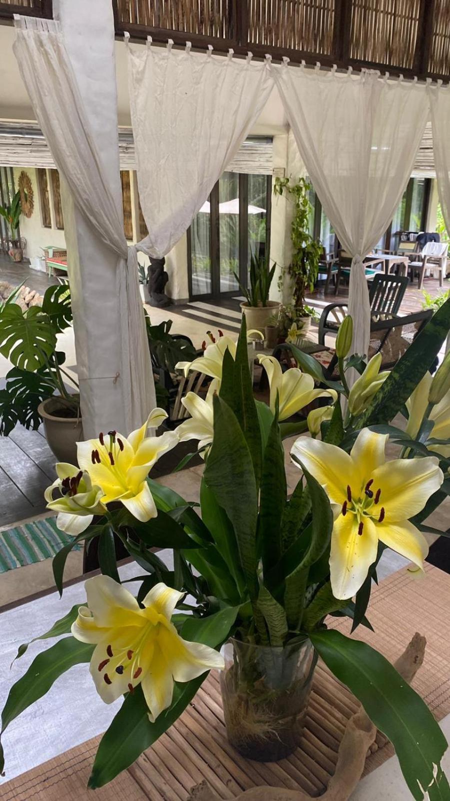 코창 Maddekehaoo Eco Mansion B&B 외부 사진