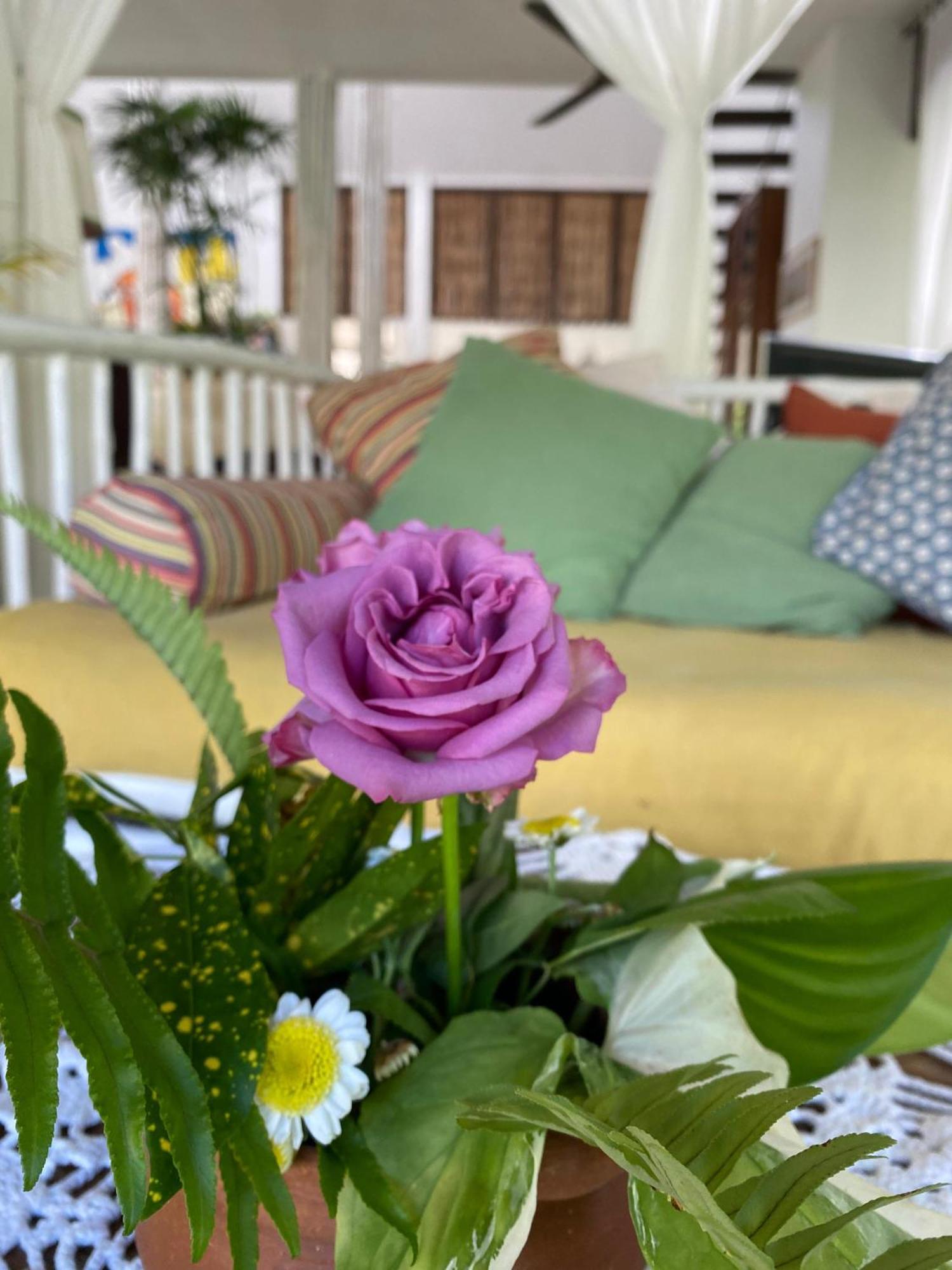 코창 Maddekehaoo Eco Mansion B&B 외부 사진